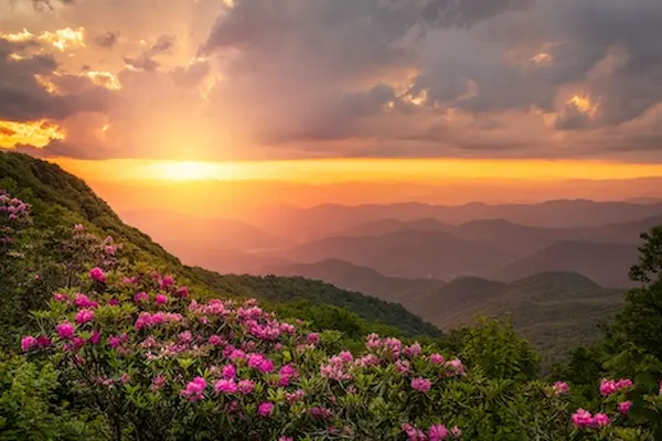 Asheville, NC